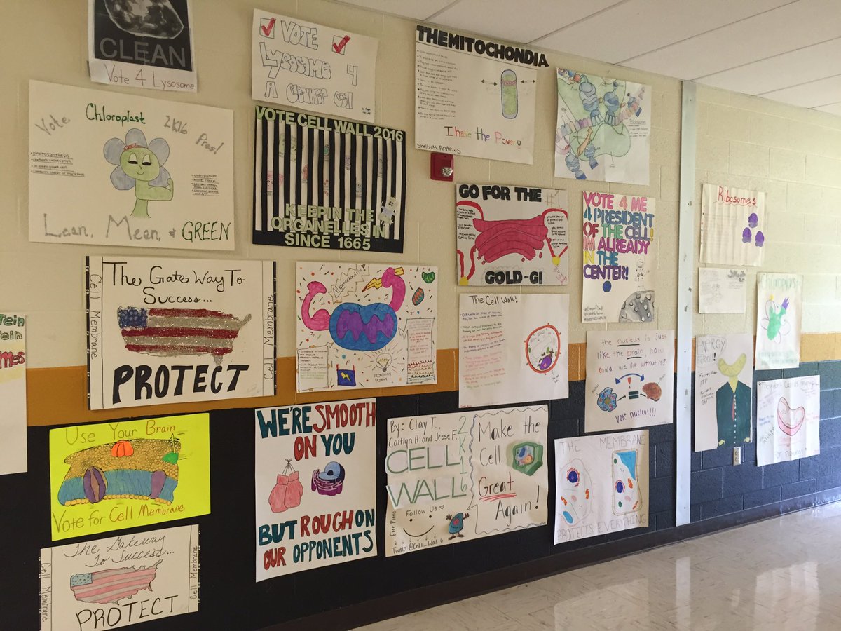 wcsFvHsdd's tweet photo. The competition is fierce at FHS #organellewars  I'm so proud of my Jackets! https://t.co/z6afhVcmNj