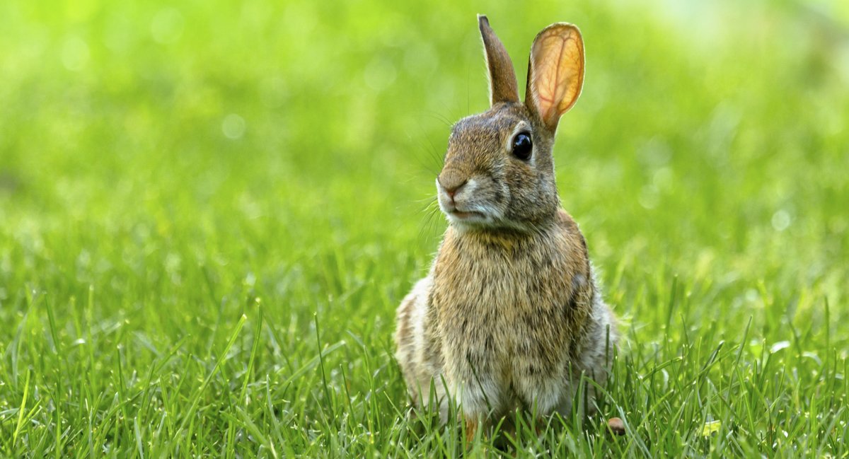 Boston Magazine tweet media