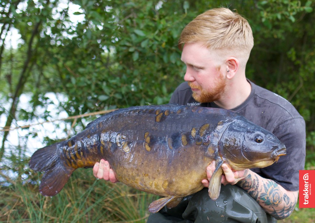 Trakker_Carp's tweet photo. One of 3x20s for Team Trakker’s @DaleMarkTurner over the weekend after returning to the bank following knee surgery https://t.co/e6ycVJmffT
