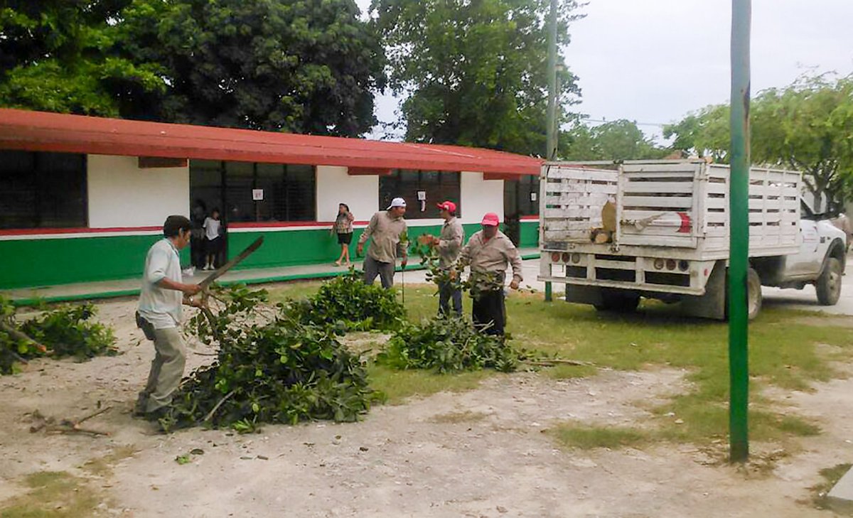 EmmanuelZetina's tweet photo. "CONTINÚA GOBIERNO MUNICIPAL LIMPIEZA DE ALCANTARILLAS Y PODA DE RAMAS POR LAS LLUVIAS"  https://t.co/024P9Zfkpc https://t.co/FuLZ5pw0G8