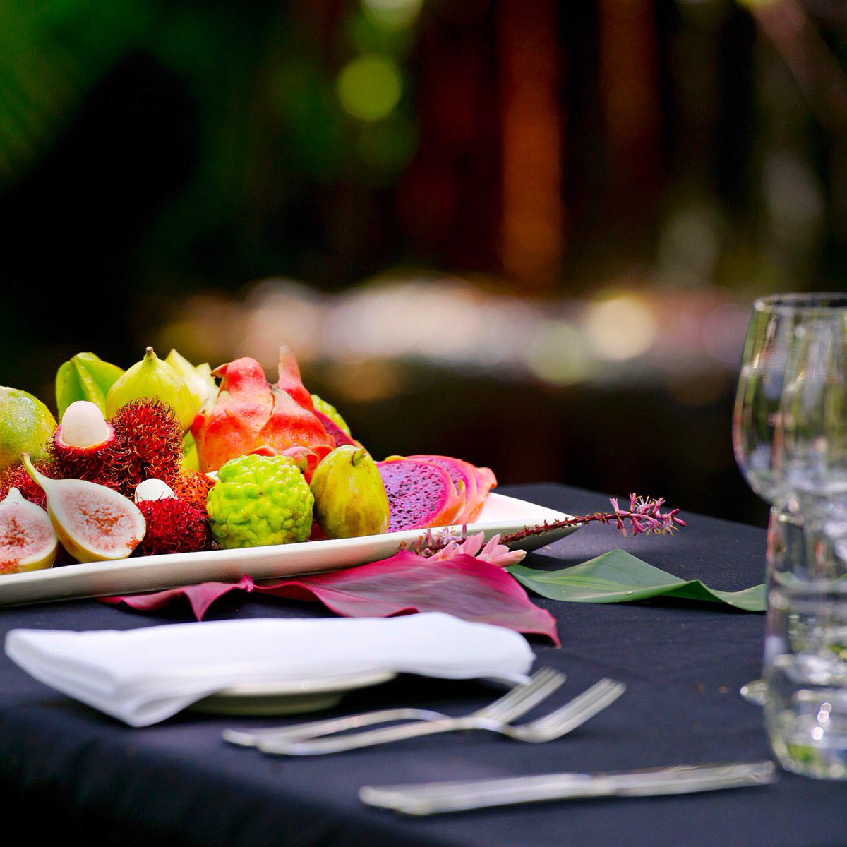 Welcome to Spring at the <a href="/eco_lodge/">Daintree EcoLodge</a> 🍃💚🍃