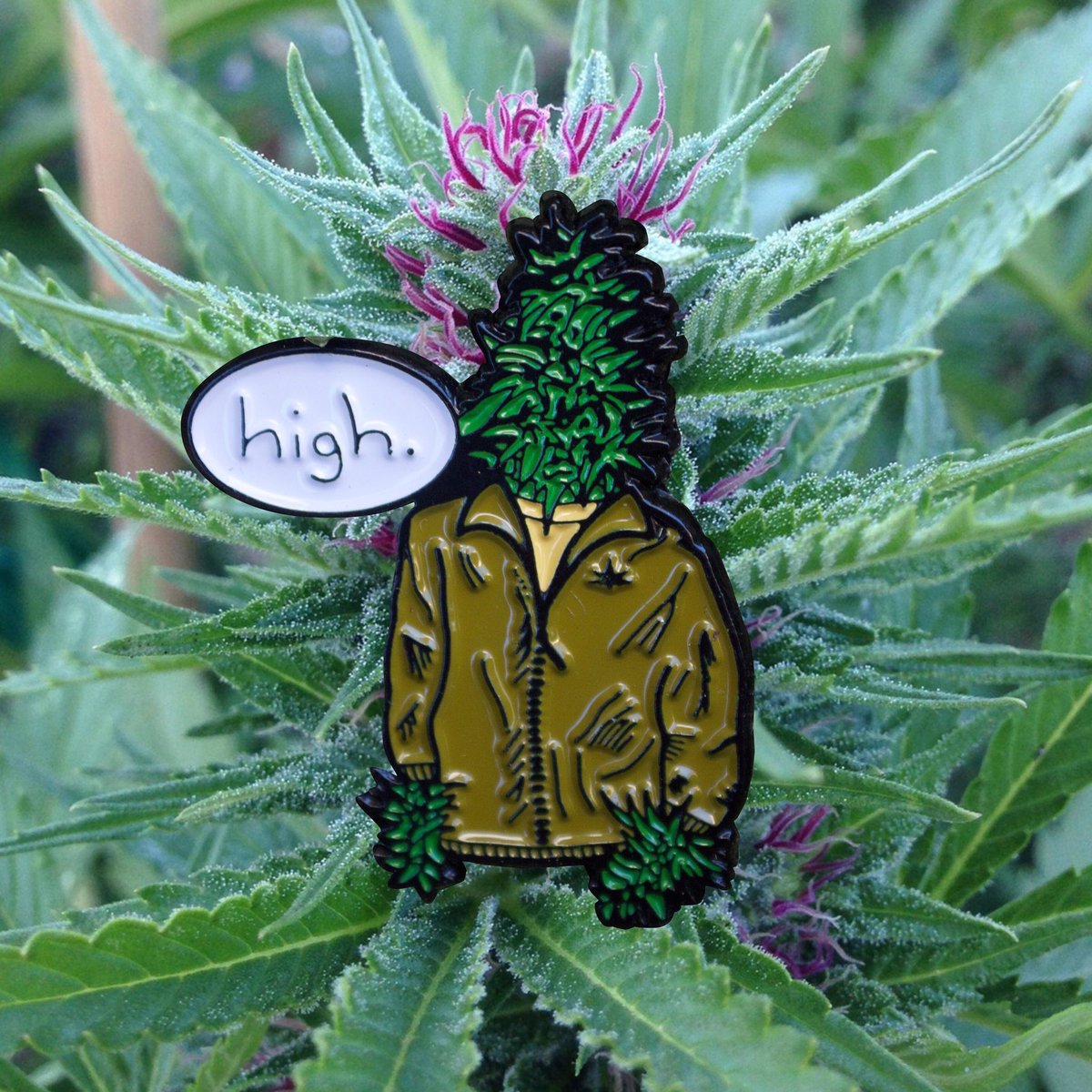 PinBallCo's tweet image. Check out both our pins in store now. Many more to come 
etsy.com/shop/PinBallCo
💖
#pins #art #weed #pot #TheWeeknd