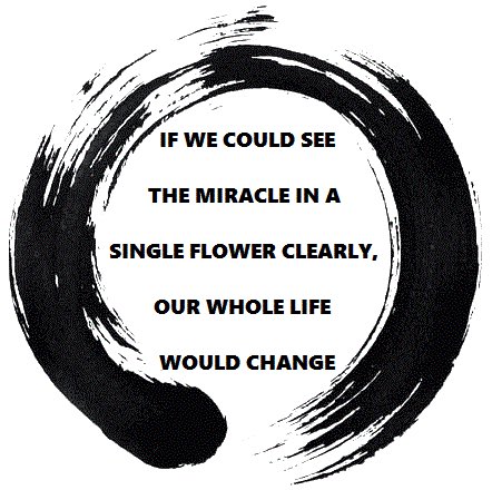 IRIEAGT's tweet photo. If we could see the miracle in a single flower clearly, our whole life would change #alphagardentechnologies https://t.co/tn2ivaUdyQ