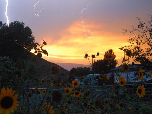 brdypps's tweet image. these inspire me pt 1