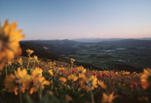 brdypps's tweet image. these inspire me pt 1