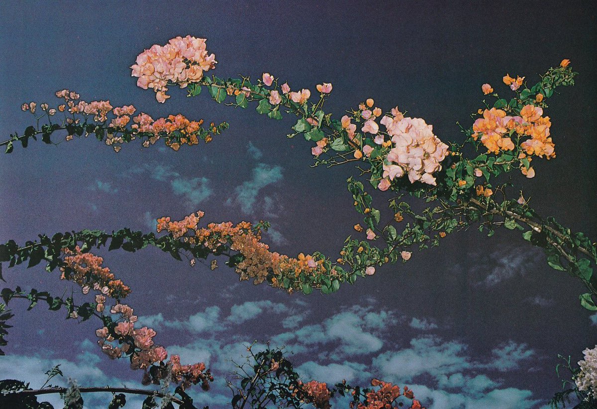 brdypps's tweet image. these inspire me pt 1