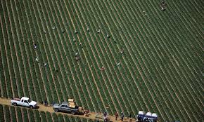 Check out our newsletter to learn about NAMAC Mongolia, International Youth Day, and more! icao.coop/sub10/sub1.php