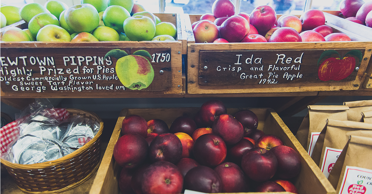 WOOPassApp's tweet photo. Where to Pick Your Own Apples in Central #Massachusetts: https://t.co/EhvfVXBjf1 #DiscoverCentralMA https://t.co/w63jvrnOri