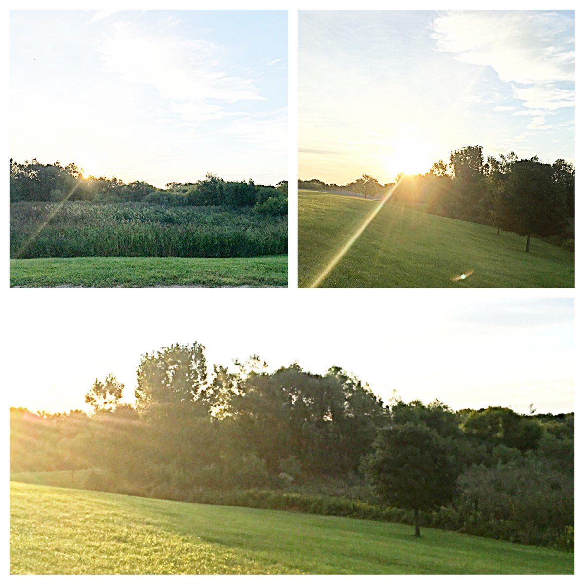 Emily Nadeau tweet media