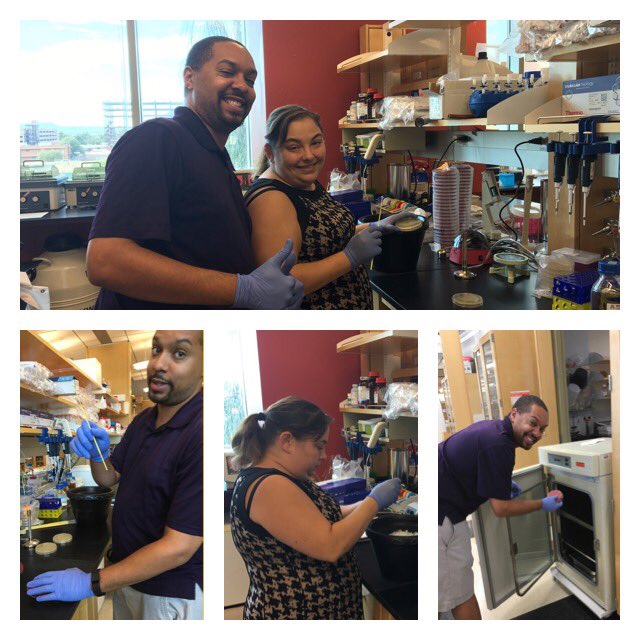 blacksciblog's tweet photo. 1st experiments in the Johnson Lab @UAresearch @UofA @BIO5 #YeaScience #bacteriabeware #copper #lablife #deepbreath https://t.co/naOHgizipQ