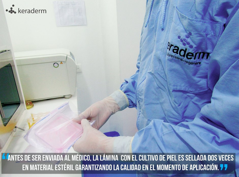 Keradermlab's tweet photo. ¿Cómo enviamos la terapia de cultivos de piel? ---> https://t.co/VRmAJWuz27