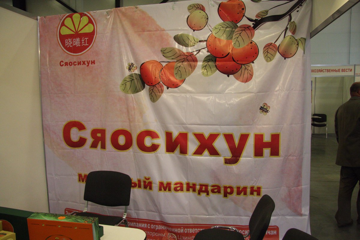 Китай поддерживает Украину в вопросах территориальной целостности, - посол КНР - Цензор.НЕТ 9614