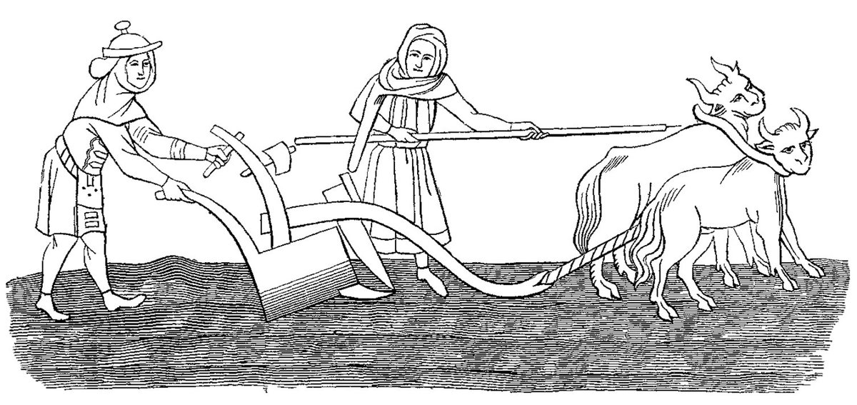 With or without a red nose, they are terrifying. But where does the word 'clown' come from?
hbit.ly/2bA5gHI