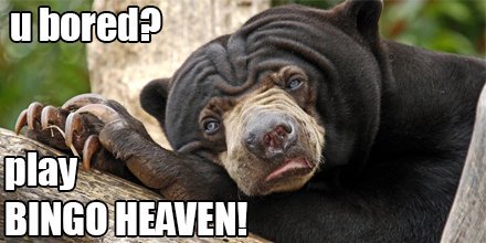 THEMANIACAWADE's tweet image. Bingo Heaven ROCKS! Get credits to play FREE if you install now! #game #bingo