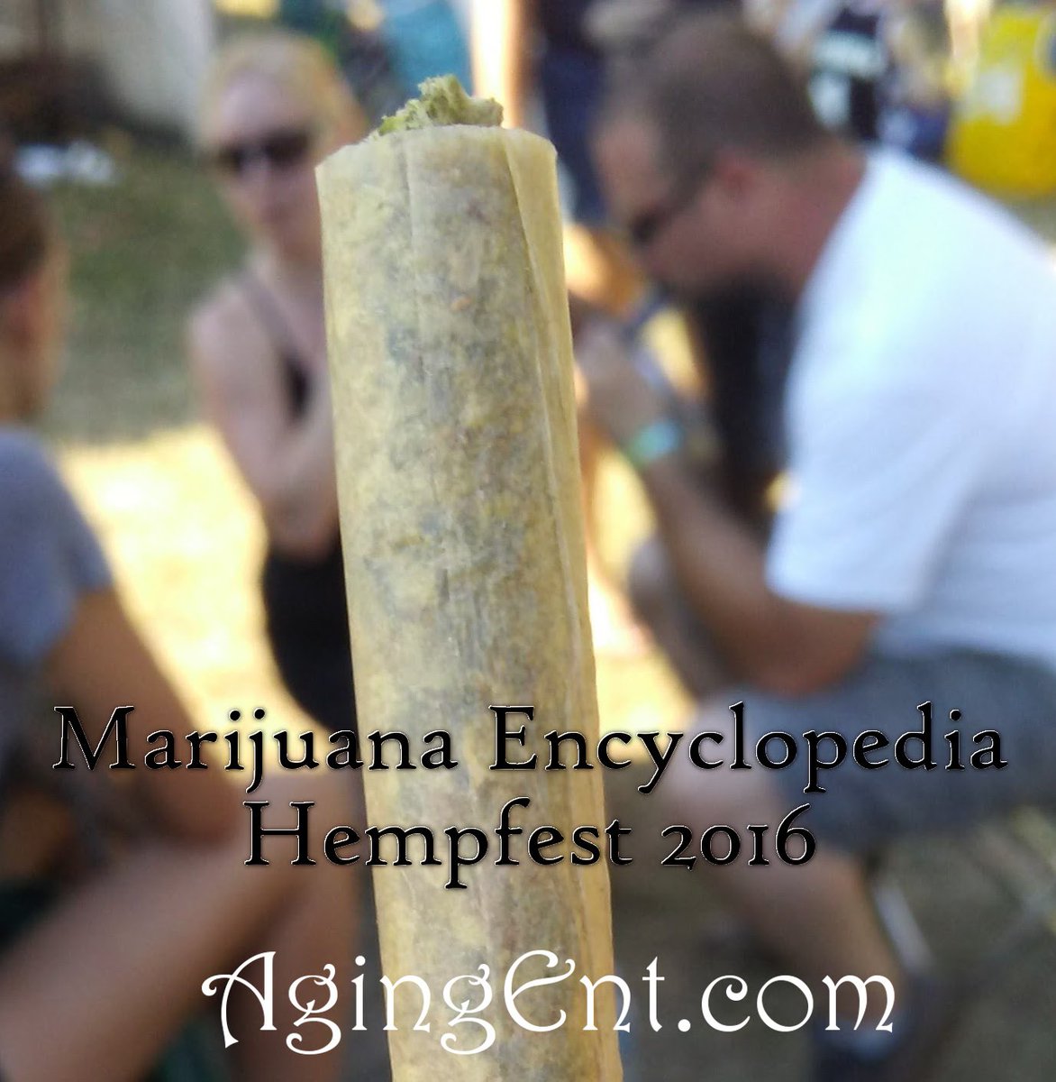 theAgingEnt's tweet photo. #Hempfest2016 #MarijuanaEncyclopedia #Ep27 #free #logo #tattoos @HeavenlyBuds #Joints
https://t.co/yfFkUtc4co https://t.co/Wvt3eDVOdj