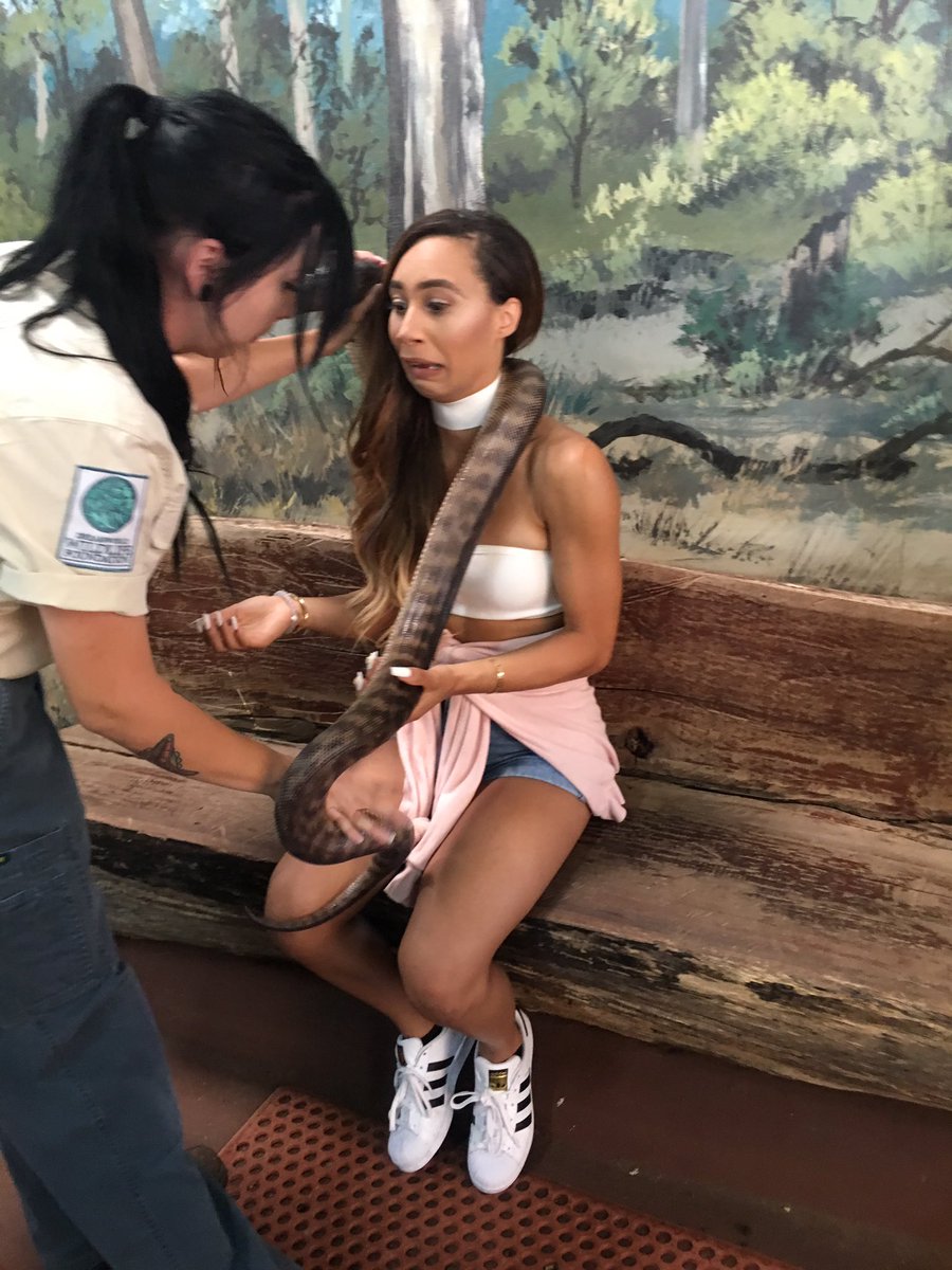 lifeaseva's tweet photo. Rare photos of me and my ex https://t.co/dcPNWImy2E
