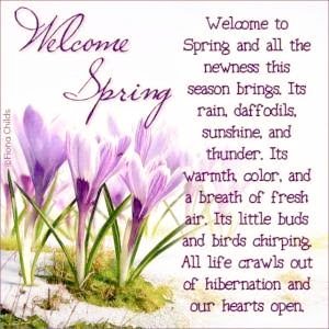BMCpretoria's tweet photo. Happy #SpringDay to all! Join us this Sunday, 4 Sept, for our spring celebration services at 8:00, 9:30 and 18:30! https://t.co/NLJSYrRGWr