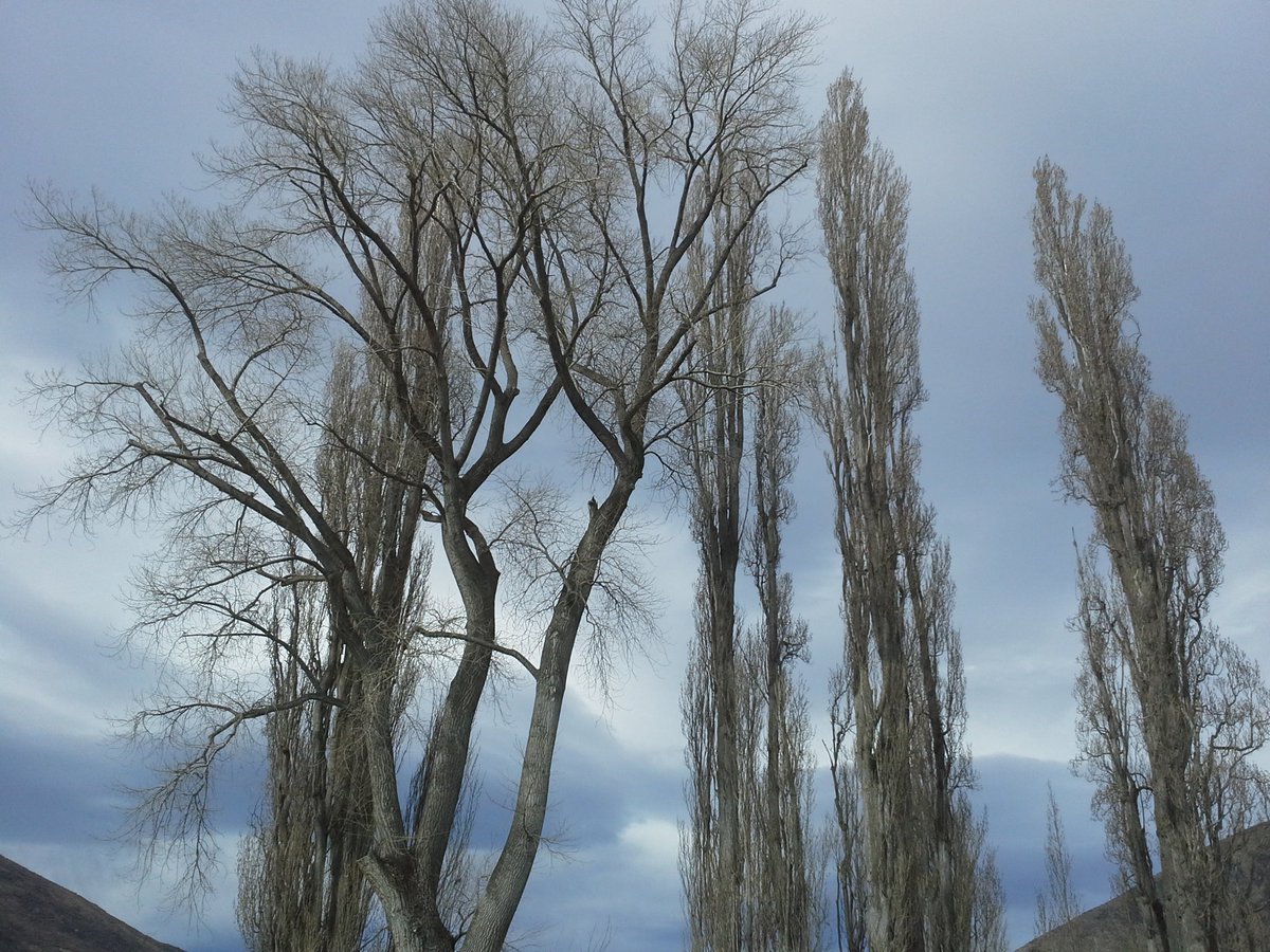 Ski_Tracey's tweet photo. Wine tasting & gorgeous scenery. Thank u 2 #ChardFarm & #WaitiriCreek wineries 4 the hospitality. #TheEndlessWinter https://t.co/GhZjV4o99I