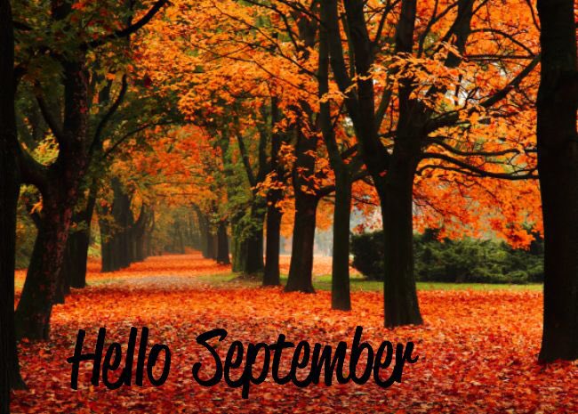 refinemedical's tweet photo. Hello September 🍂🍁👢🌂. Dare I say Christmas is 16 weeks on Sunday!! Prepare and plan your treatments accordingly xx https://t.co/JmDPubWYHW