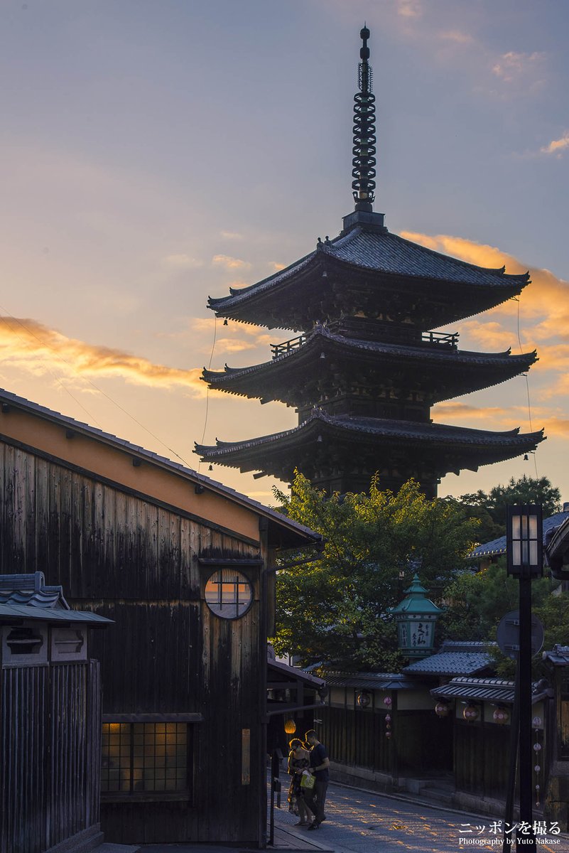 中瀬雄登 Yuto Nakase 今週京都で撮った写真の中からスマホの待受になりそうなものを選んでみたよ 化野念仏寺の竹林 八坂の五重塔 ニッポンを撮る