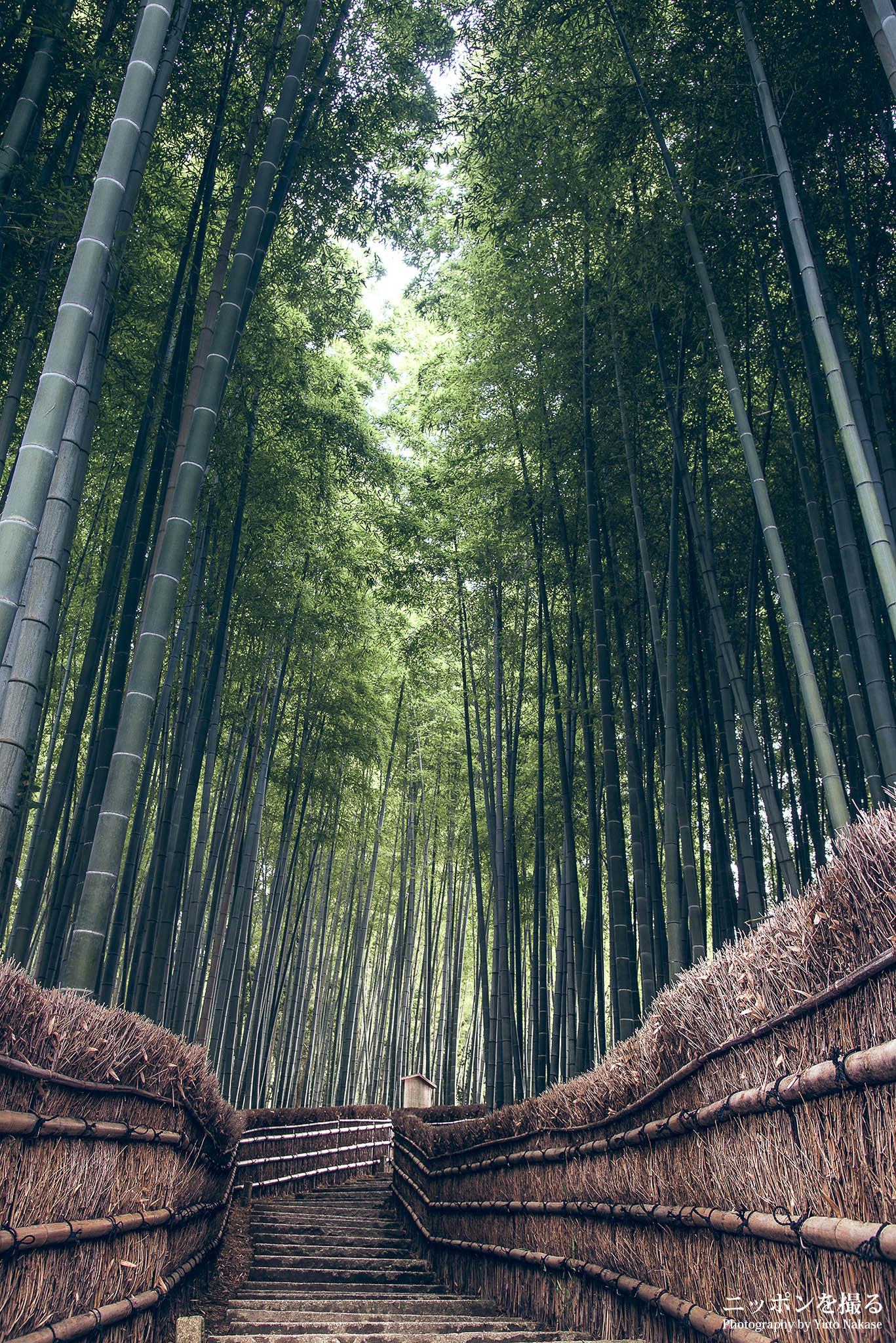 中瀬雄登 / バズる!写真編集術の著者 on X: 中瀬雄登 / バズる!写真編集術の著者 on X: