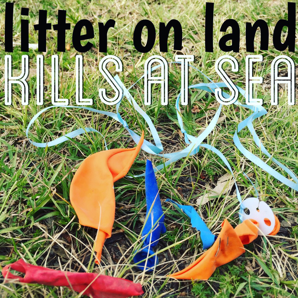 KeepQBeautiful's tweet photo. Litter on land. Kills at sea. #litter #bantheheliumballoon https://t.co/Df9AqTLbfA
