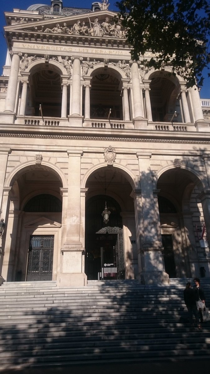 Elizabeth Erling tweet media