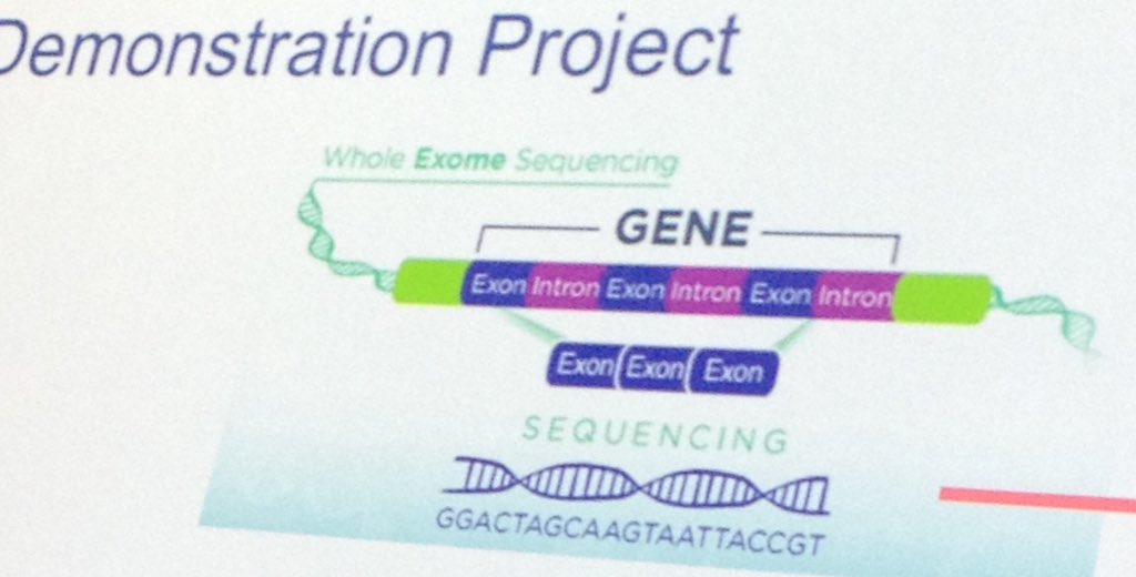 onqsoftware's tweet image. Melbourne Genomics Health Alliance demonstrates the benefits and challenges of shared approaches to genomic testing