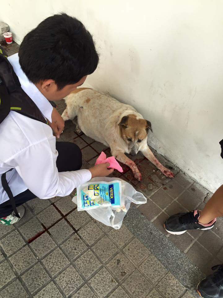 borforbitty's tweet photo. ต้องการความช่วยเหลือค่ะ
เลขที่บัญชี 185-0-38896-2
ธนาคารกรุงไทย
น.ส.วชิราพรรณ พุ่มทอง
ฝากด้วยนะคะ #ทวิตดีคนรีน้อย https://t.co/r2ZYZrLA05