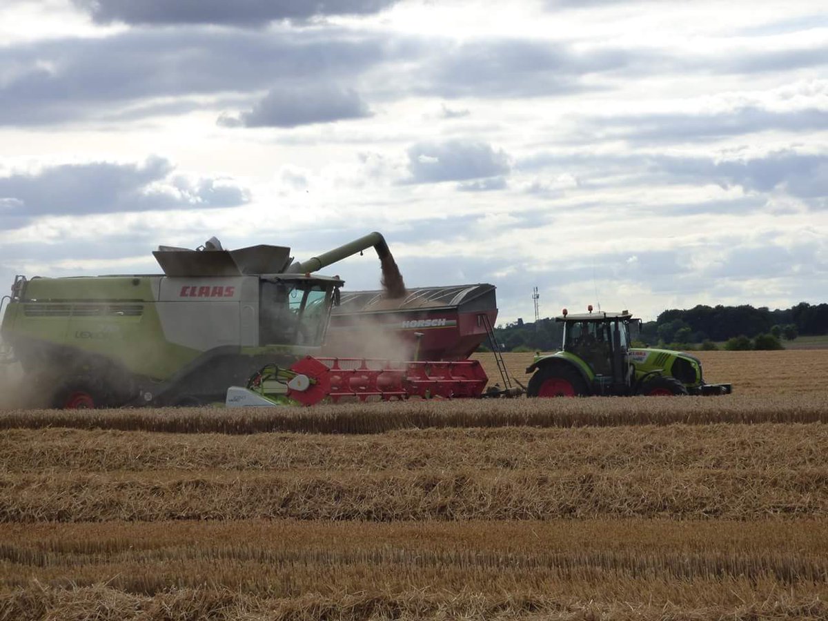 CroftyMartin's tweet image. 