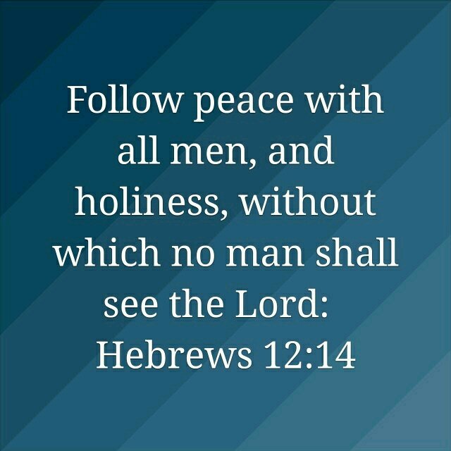 curtleeeightyt's tweet image. bible.com/1/heb.12.14.KJV