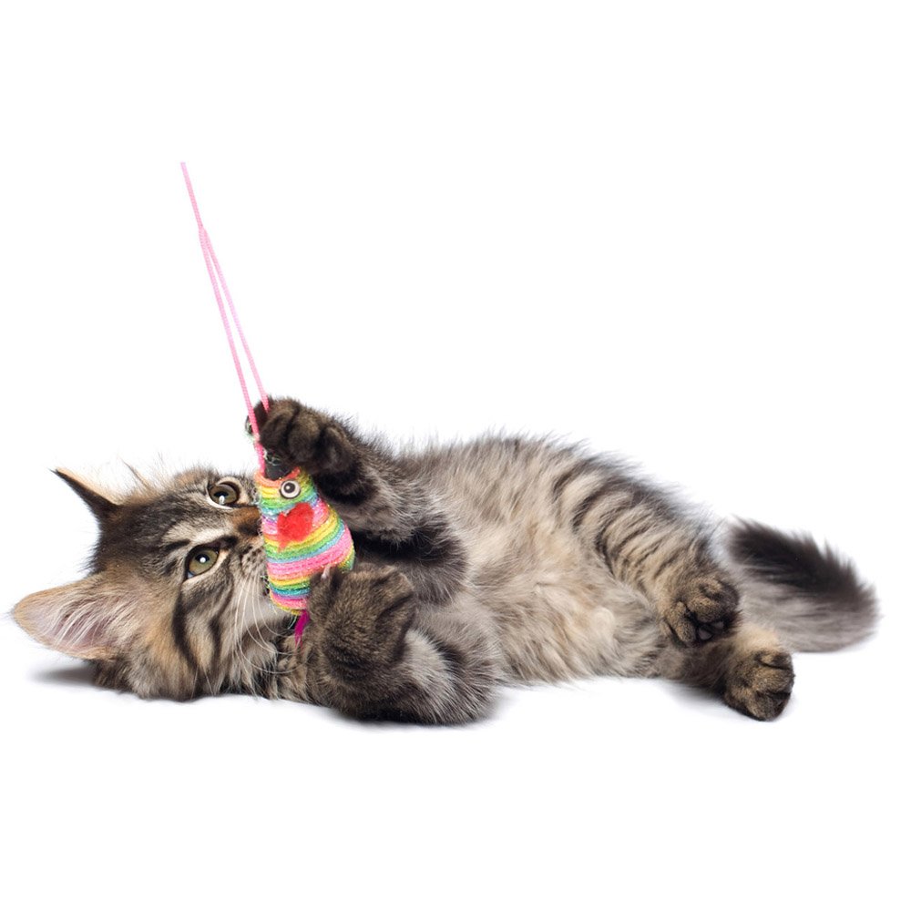 "Bir kediyle oynadığımda, benim onunla mı yoksa onun benimle mi vakit öldürdüğünü nasıl bilebilirim ki?" Montaigne