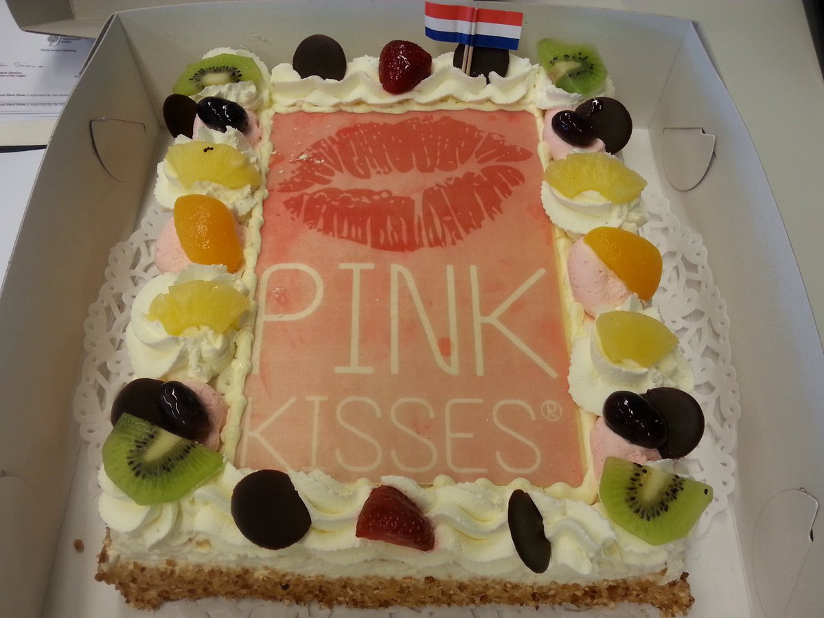 Dianthus Pink Kisses hebben we dit voorjaar maar
liefst 150.000 stuks verkocht, dus taart van de kweker! #bedankt