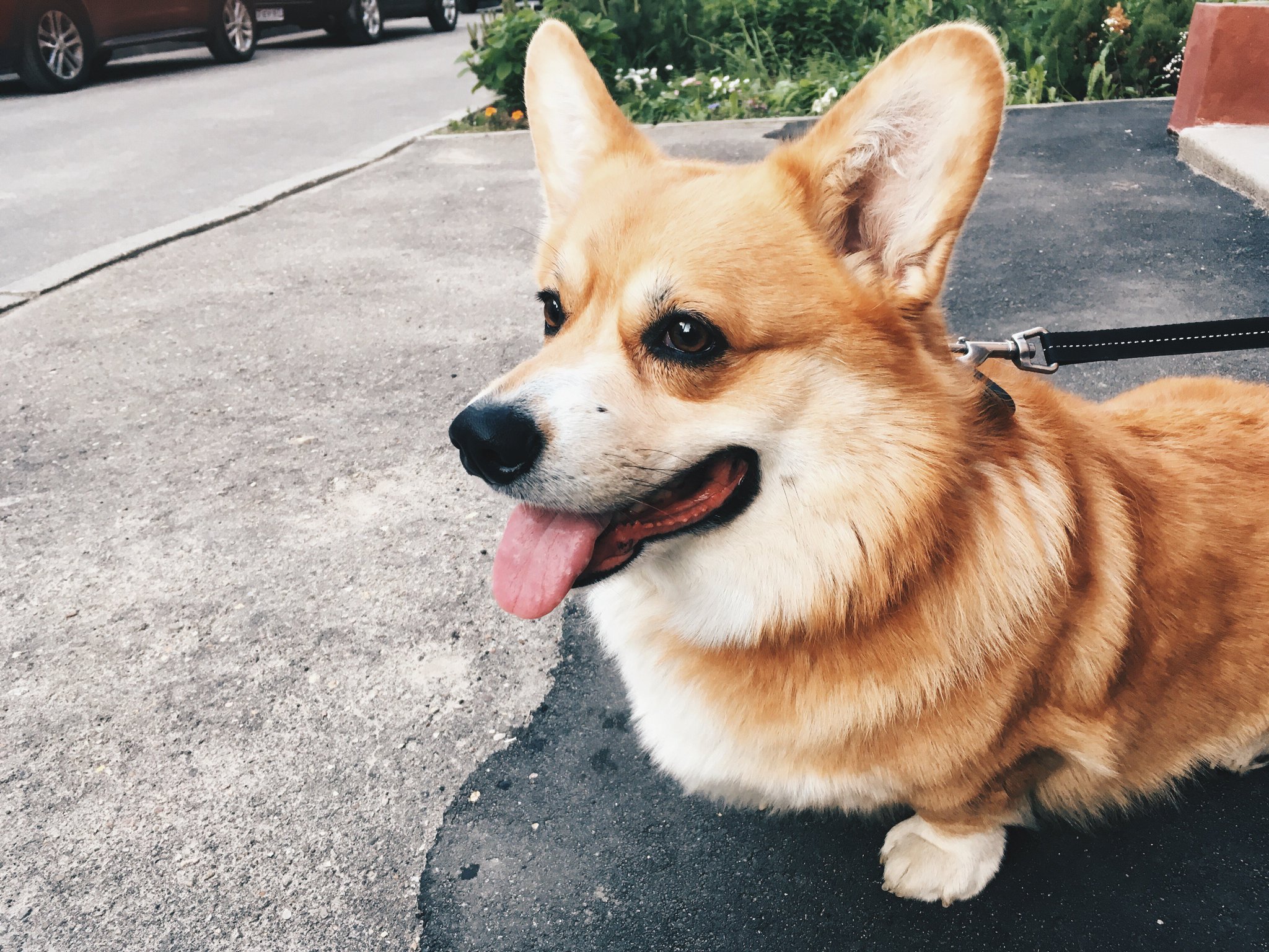 ������� �������� � ����� ����� �������