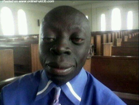 View image on Twitter