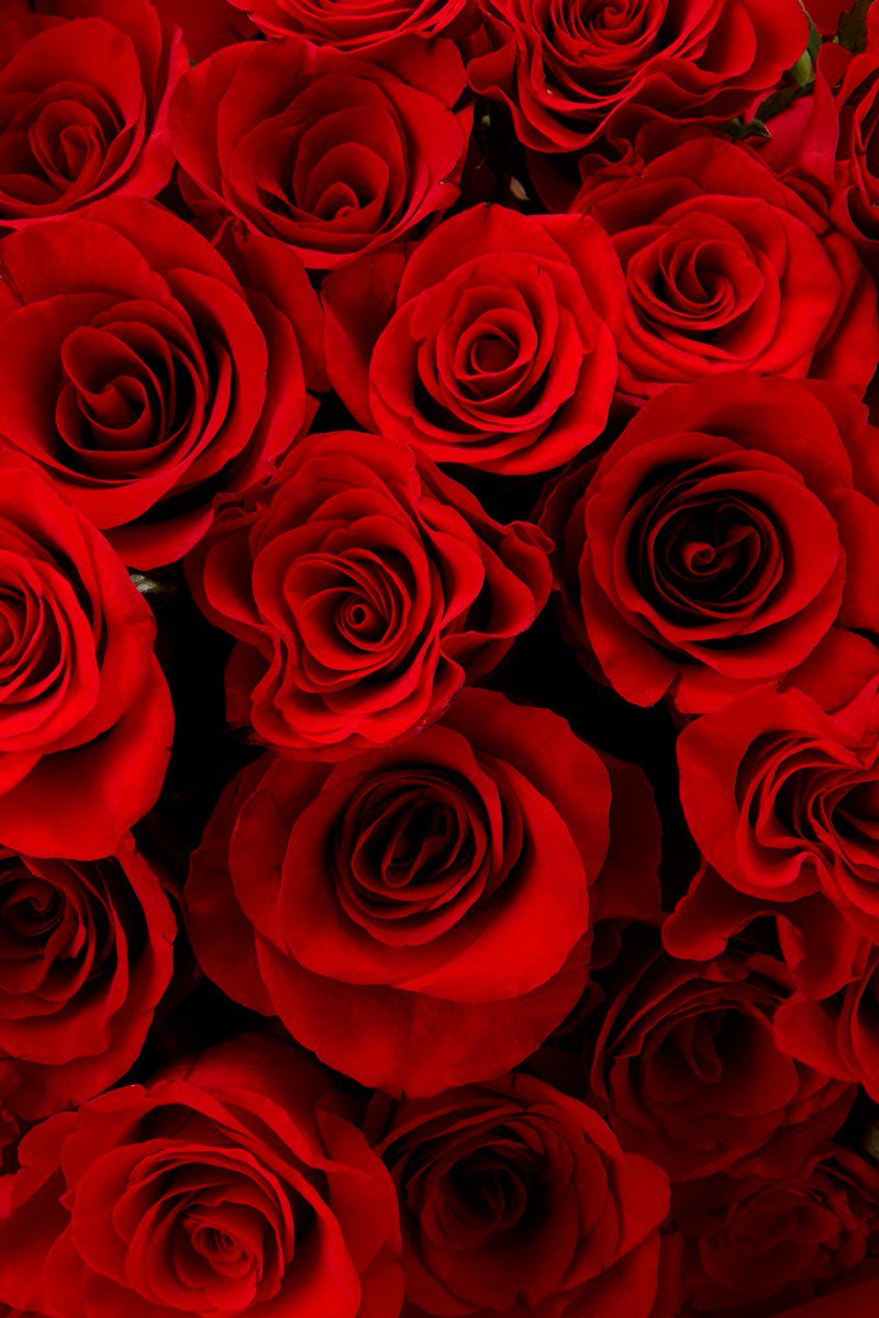 twinkle12434567's tweet photo. This is for u @eyehinakhan https://t.co/q3NjuRD35W