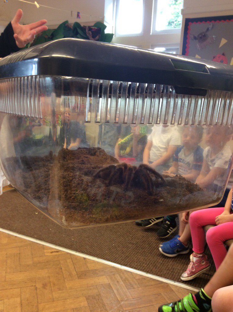 care_club's tweet photo. Big thank you to @TheWildRoadshow,children and staff had a fantastic morning https://t.co/ez0YwX1yVn