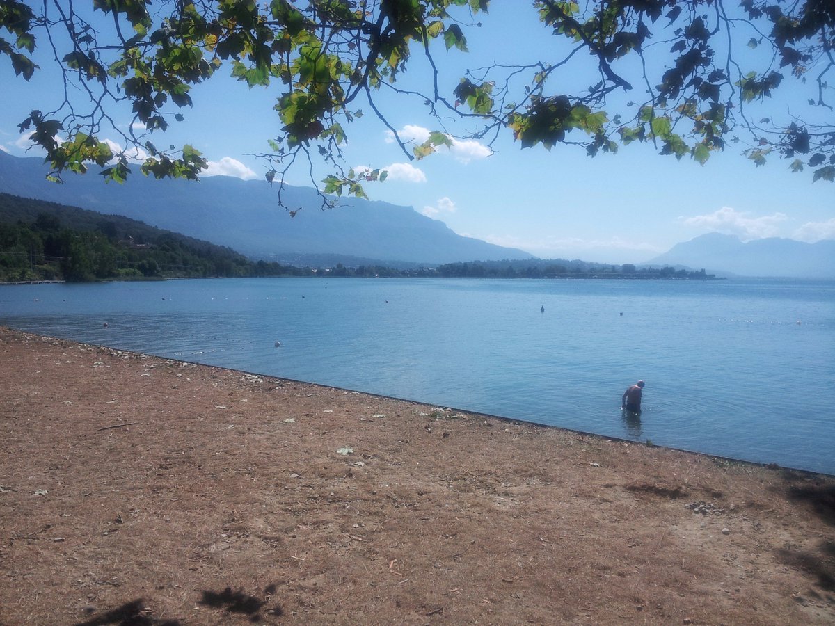 #oxalis #carrox on prolonge le mode 'carrefourdesmetiers' au bord du lac du Bourget ....pause midi #plaisirautravail