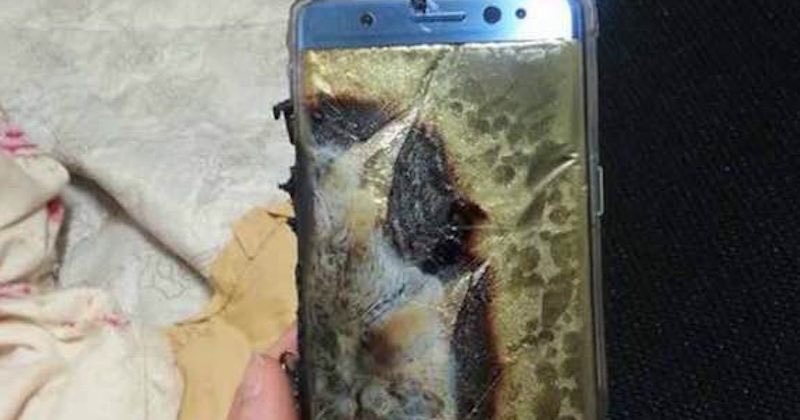 ���� ����� �������