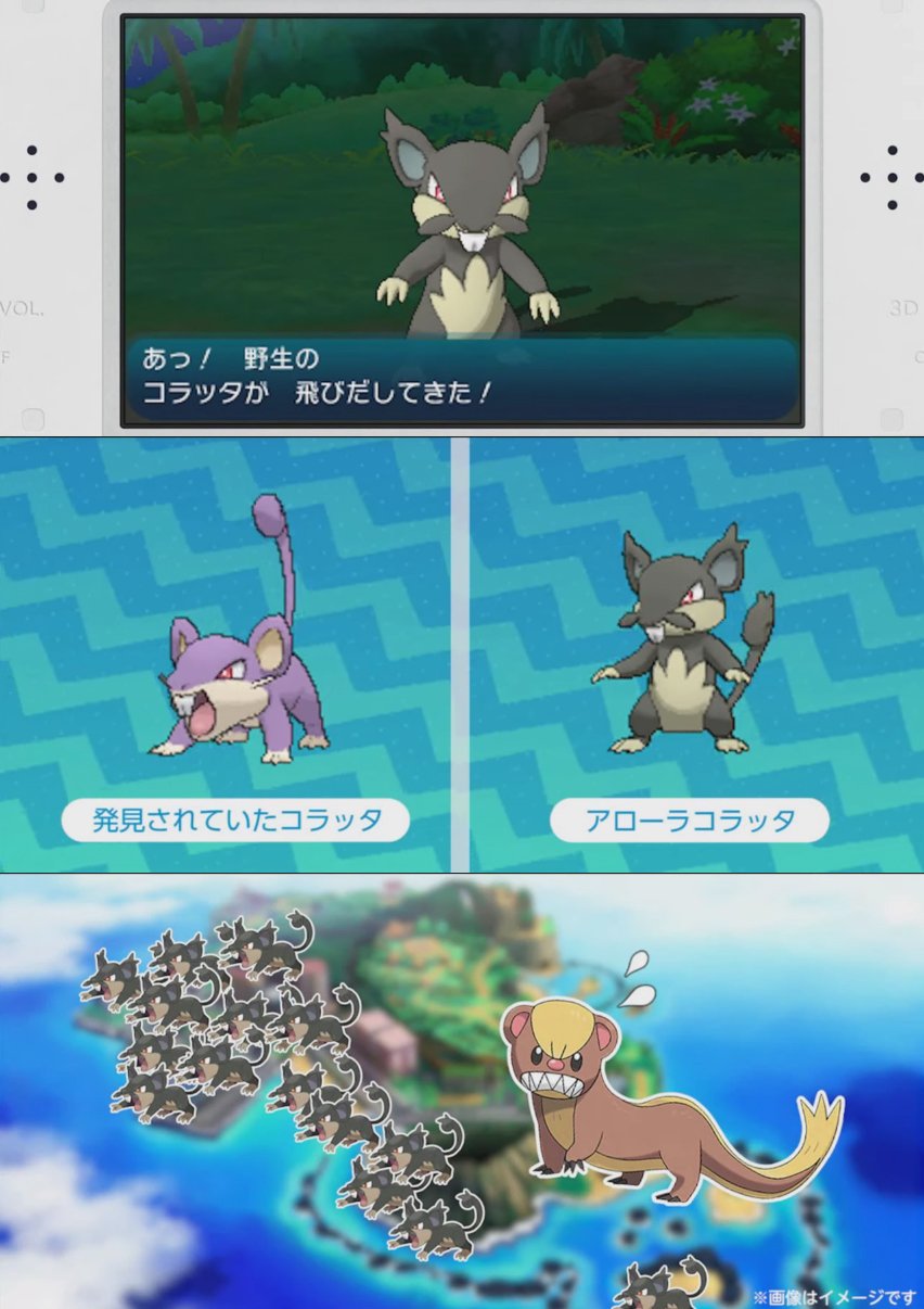 モアタ アローラコラッタ T Co Luttn2v0xj Twitter