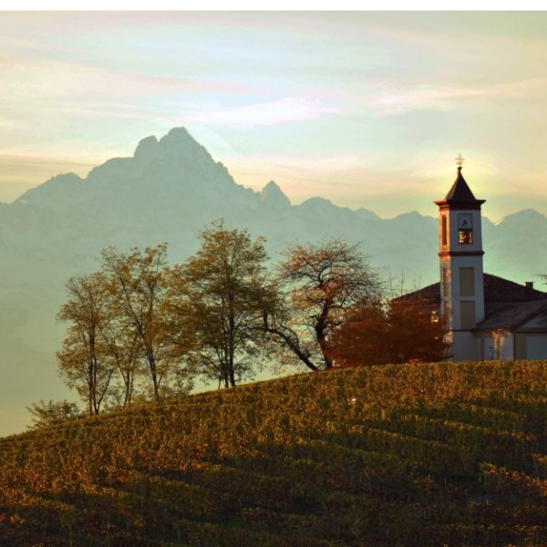 Celebrate the Wines of Piemonte, Italy with 25 wines and guest speaker @Winefamilies on 9/11 bit.ly/2bIw3Rj