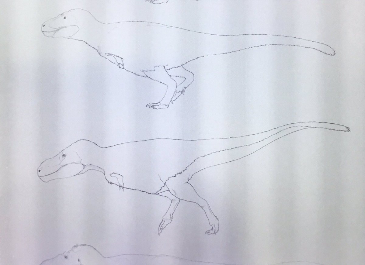 SerpenIllus's tweet image. Doing a poster size plate with ALL Tyrannosauroid #dinosaurs and put it on sale. Ideas? Interested? #paleoart