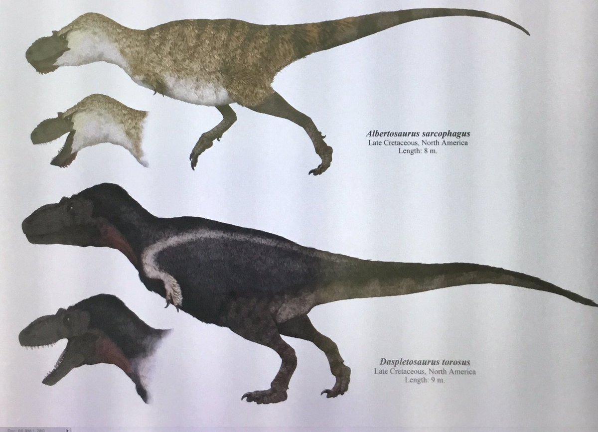 SerpenIllus's tweet image. Doing a poster size plate with ALL Tyrannosauroid #dinosaurs and put it on sale. Ideas? Interested? #paleoart