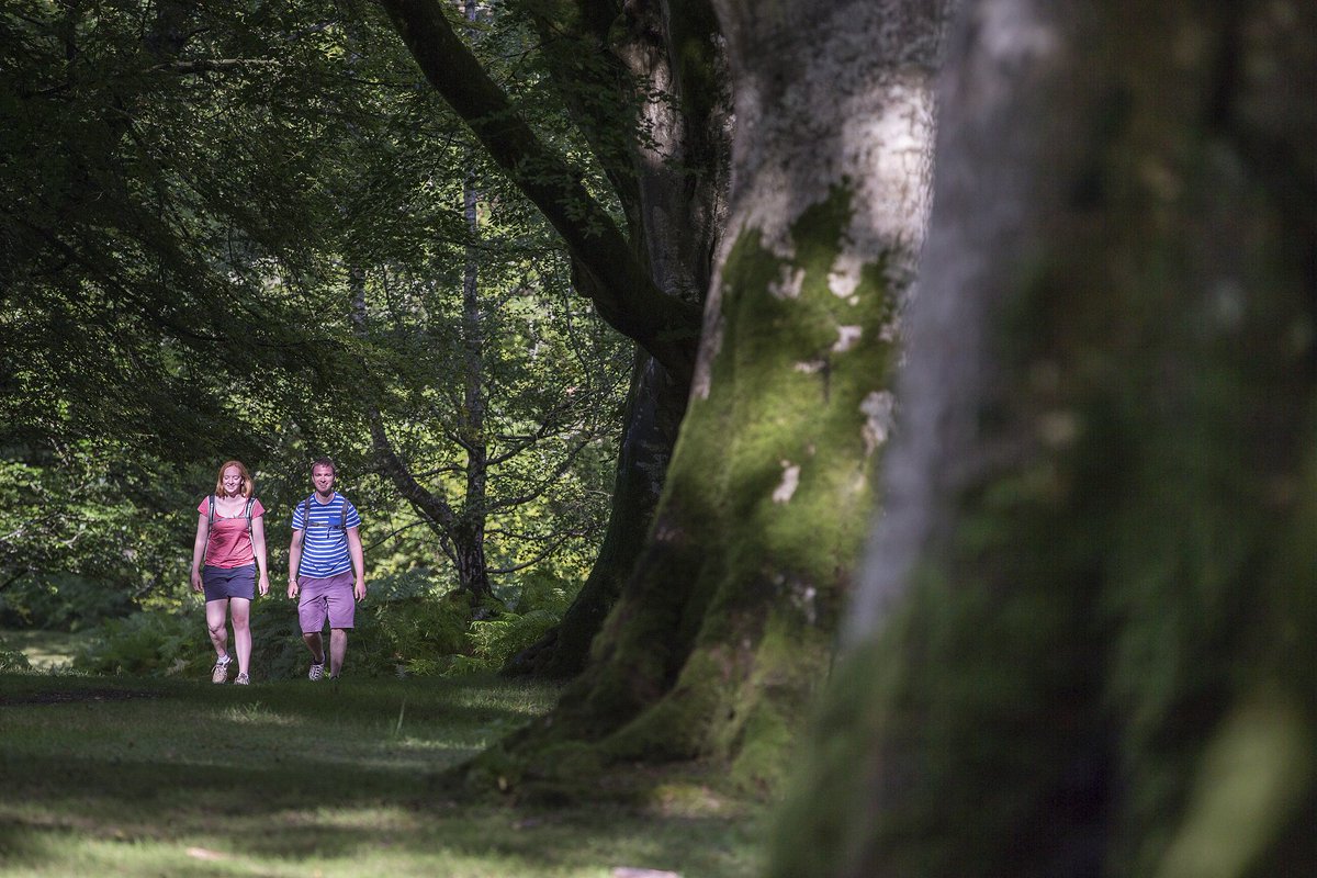 NewForestNPA's tweet image. Browse over 30 of the best #newforest walks and bike rides on our new routes finder at newforestnpa.gov.uk/routes