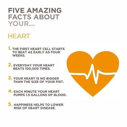 Conwy Coastal CFRs tweet media