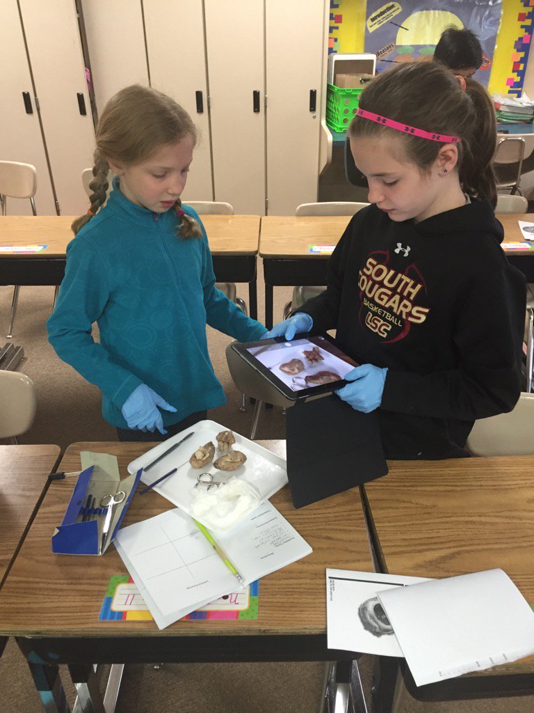 Heathermcin5's tweet photo. Dissection and app smashing at OHE #transform194 https://t.co/ejomkAdBXB