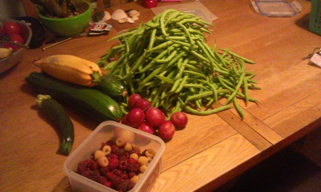 paul kettell tweet media