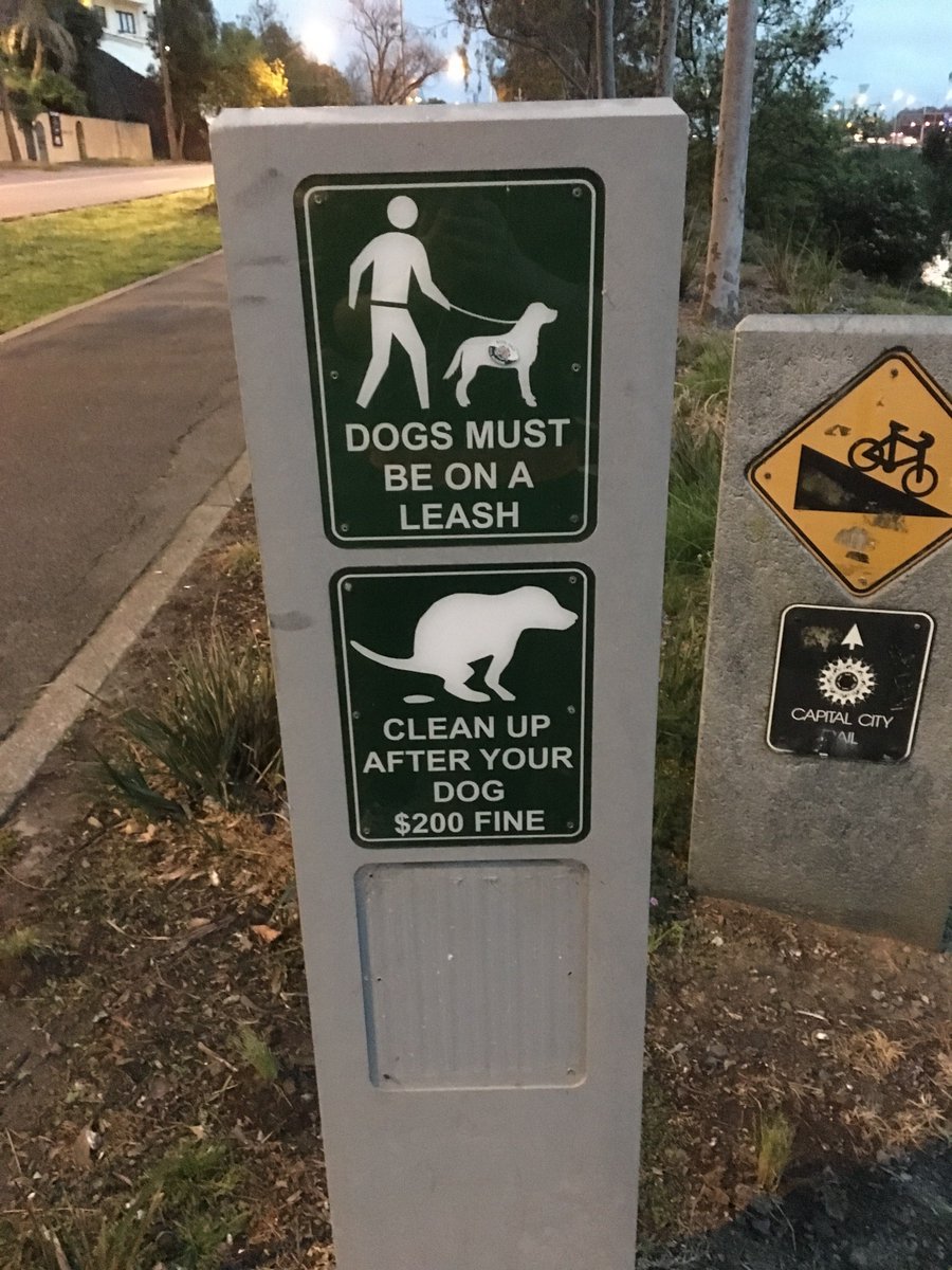 Brehscotty's tweet photo. ‘I just want to be clear. We don’t mean ‘wash your dog’s dishes’’ https://t.co/rlXC4Tmpmf