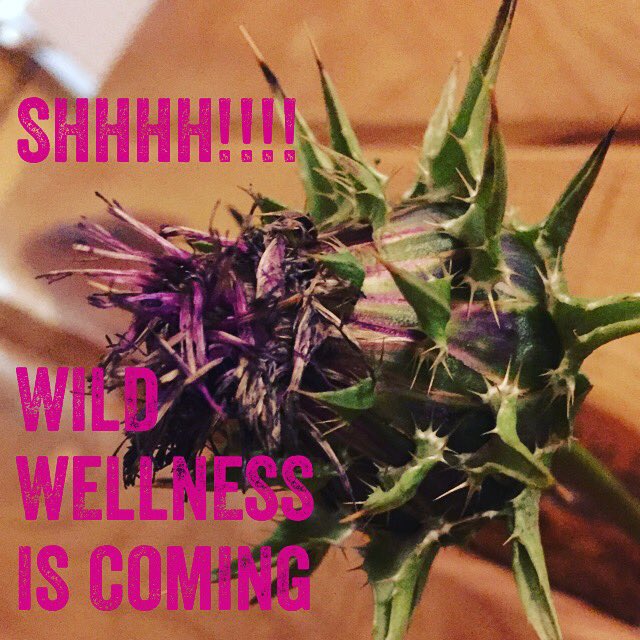 DrAgnesFrankel's tweet photo. #wild #wellness is coming! Hope to https://t.co/t7vI2HD8xg and check more details #fit #organicskincare https://t.co/cAPiTHP4cf