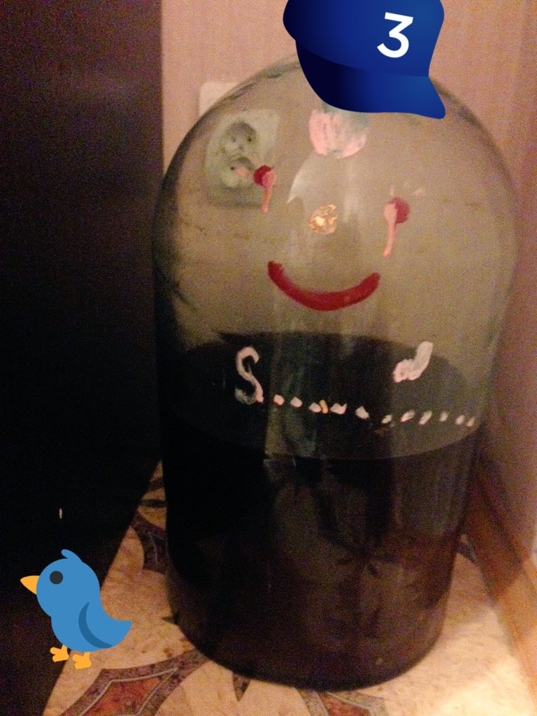 Panyushkinaaa's tweet image. Просто огромная бутылка домашнего вина 
#dolboyobsquad #Доброе_дело